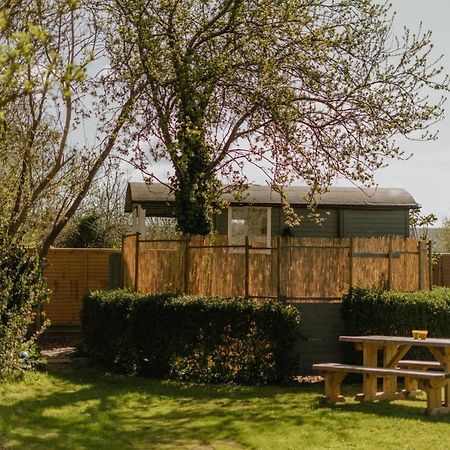 Little England Retreats - Cottage, Yurt And Shepherd Huts Othery Ngoại thất bức ảnh